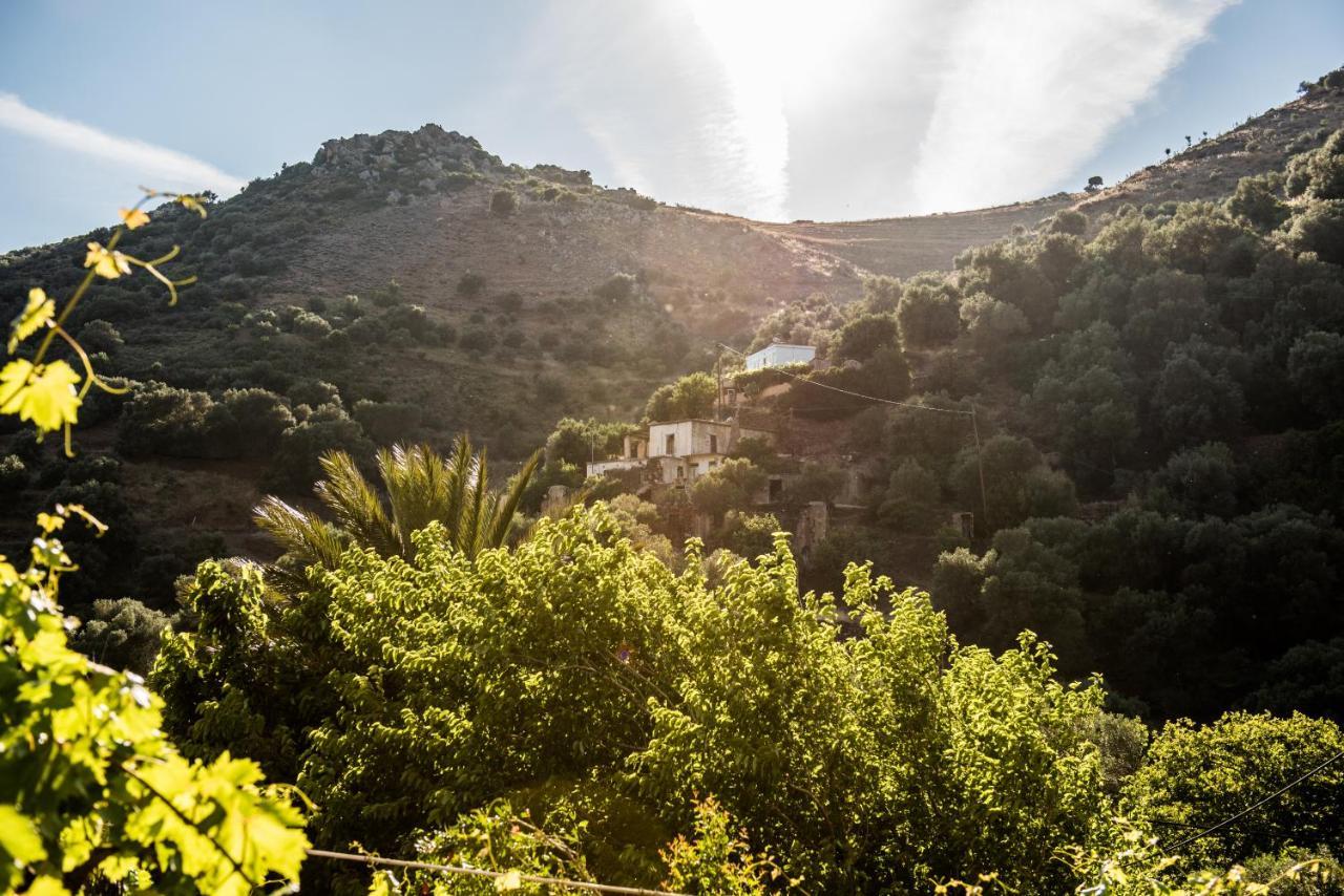 Spitia Anoi Villa Palaiochora Exterior photo